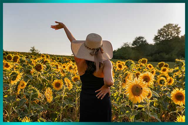 Woman in a field of sunflowers